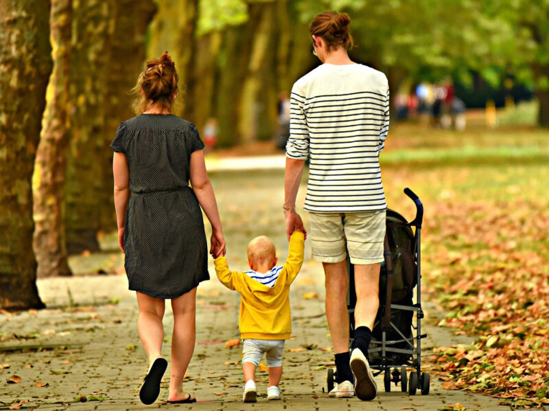 Aile Hukuku
