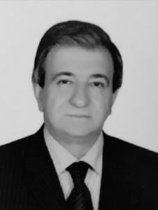 amca-2